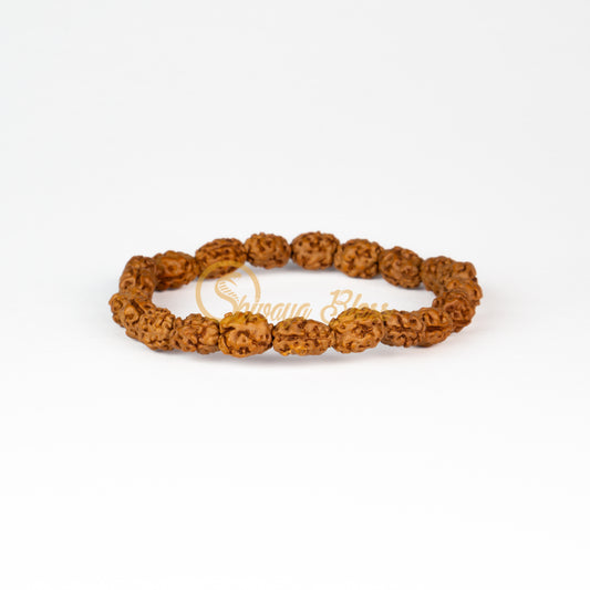 Front view of a small elastic ASEAN 2 mukhi Rudraksha bracelet, displayed against a white background