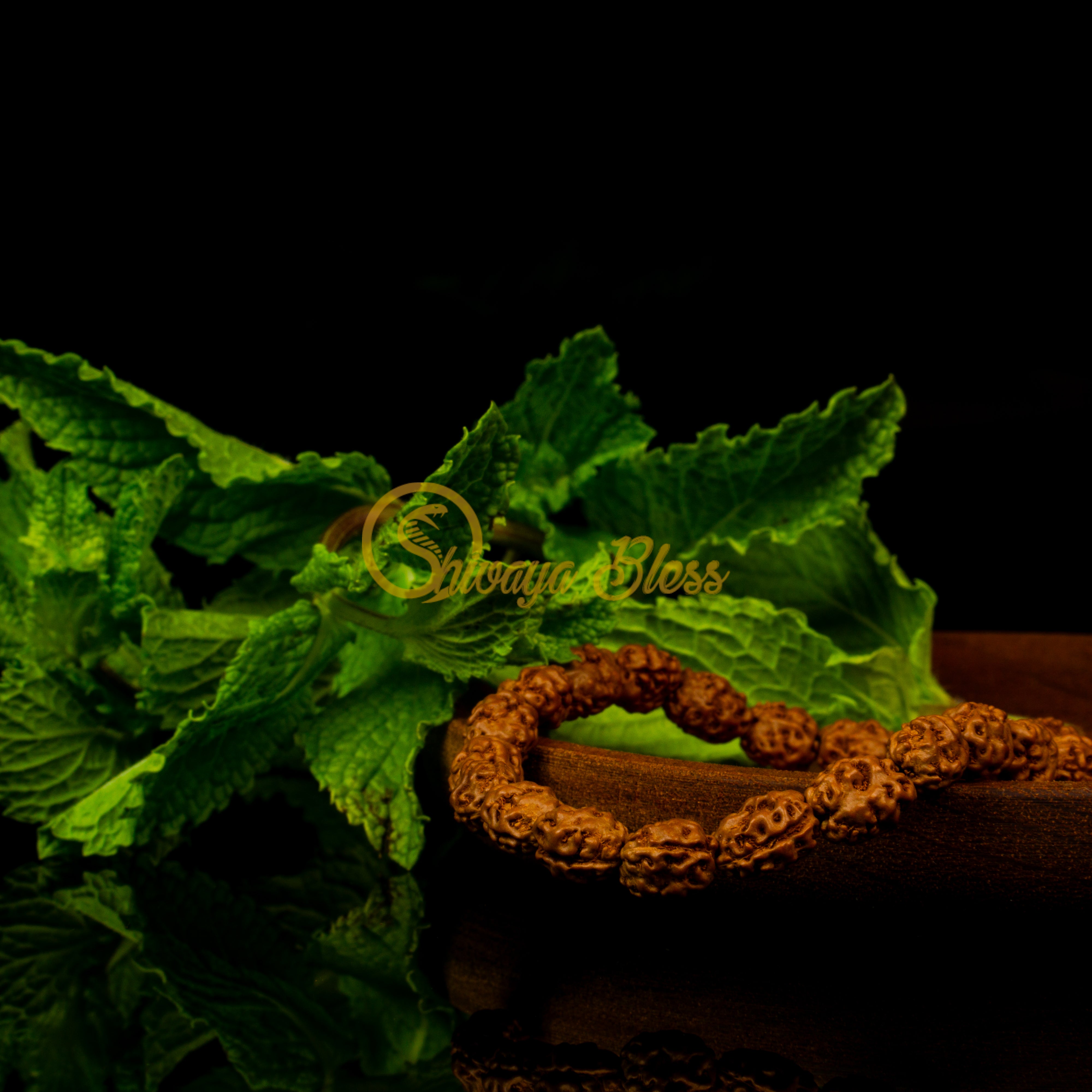 Close-up view of a small ASEAN 2 mukhi Rudraksha bracelet on a wooden plate, displayed against a black background