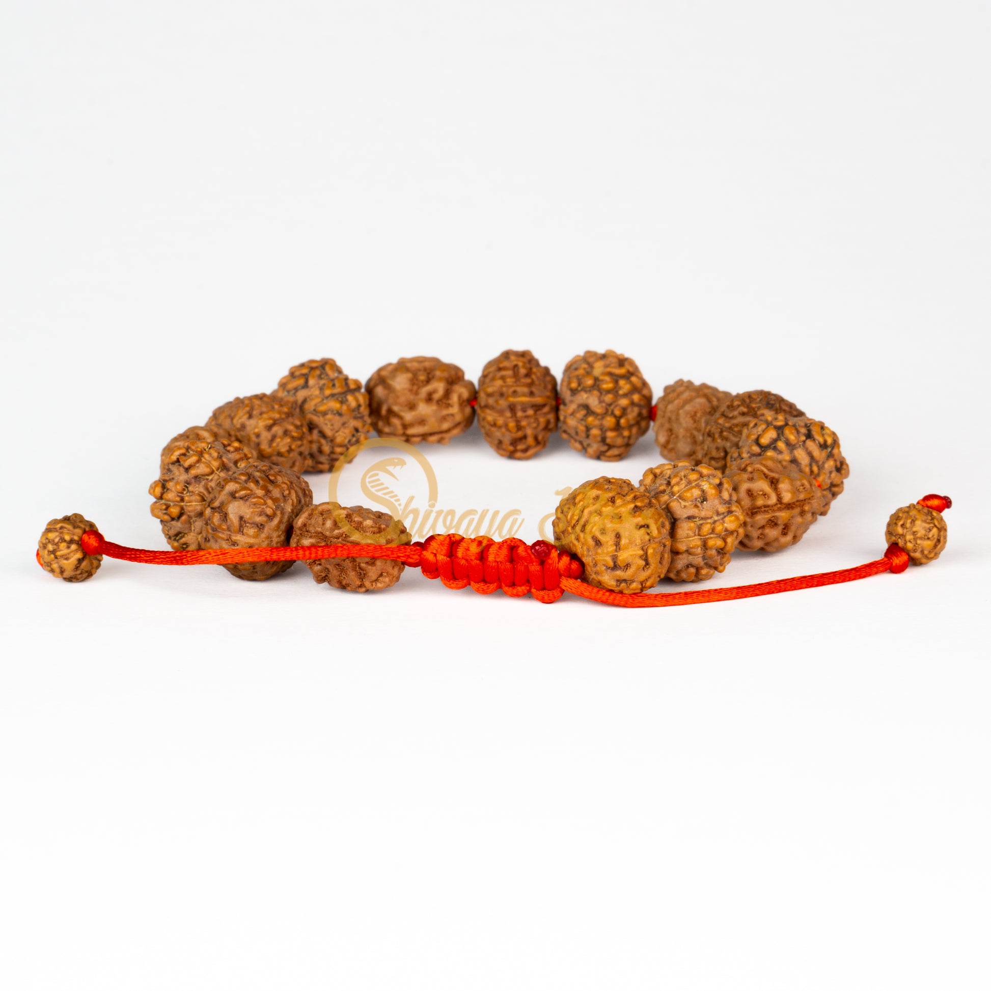 Front view of a small adjustable ASEAN 3-6-9 mukhi Rudraksha combination bracelet for good health, displayed against a white background