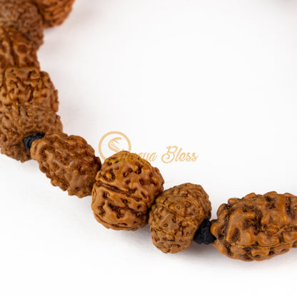 Close-up view of a small ASEAN 3-6-9 mukhi Rudraksha combination bracelet for good health, displayed against a white background