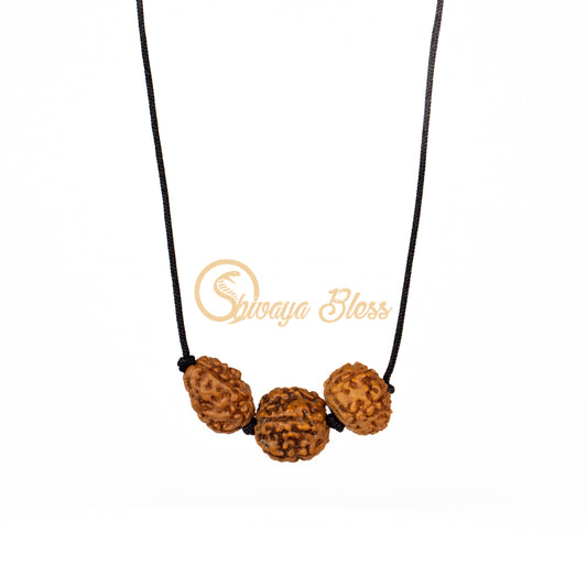 Front view of a regular ASEAN 3-6-9 mukhi Rudraksha combination pendant necklace for good health, hanging against a white background