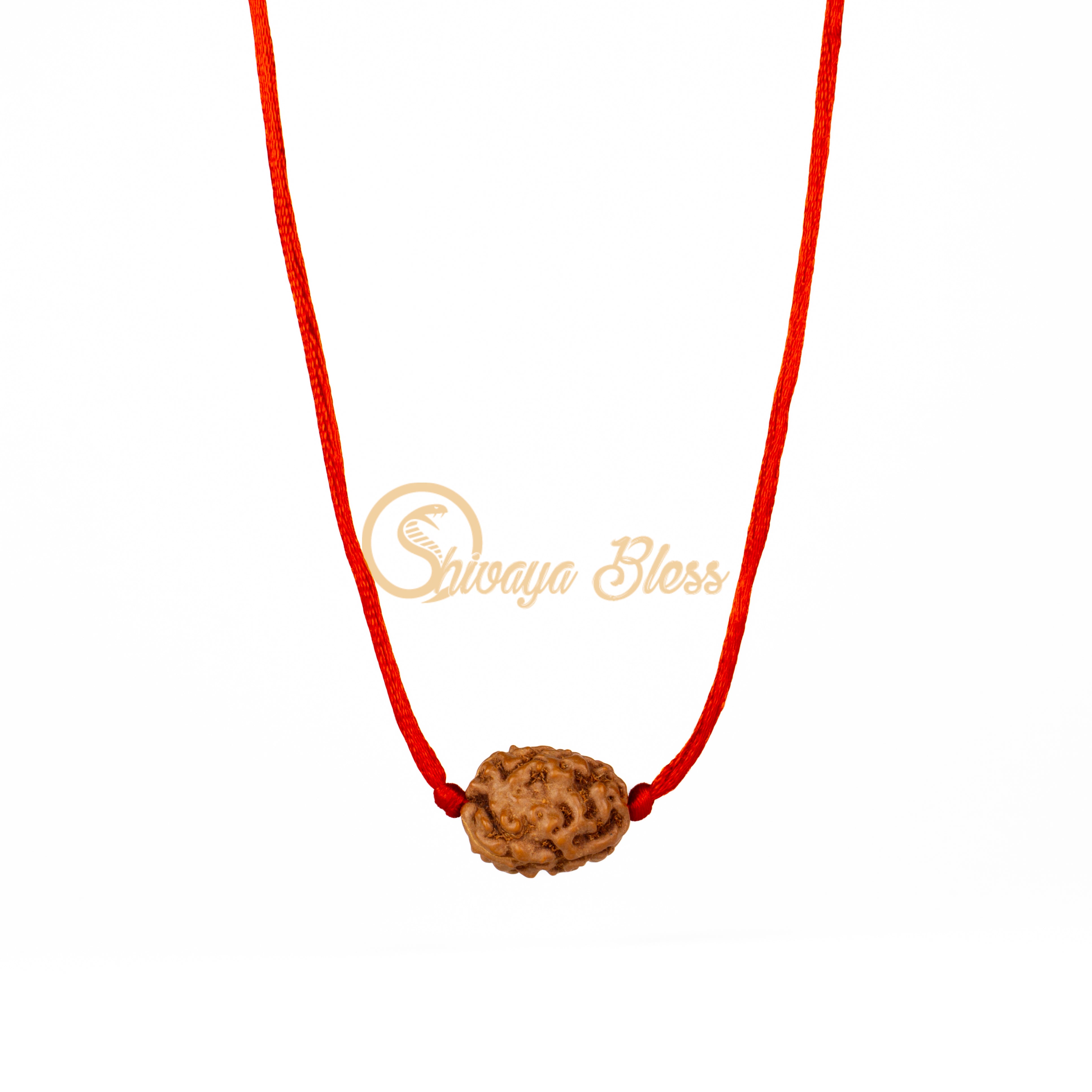 3 Face Rudraksha Pendant Necklace (Nepal)