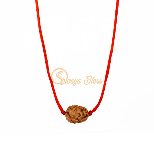 3 Mukhi Rudraksha Pendant