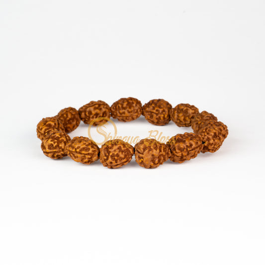 Front view of a regular elastic ASEAN 3 mukhi Rudraksha bracelet, displayed against a white background