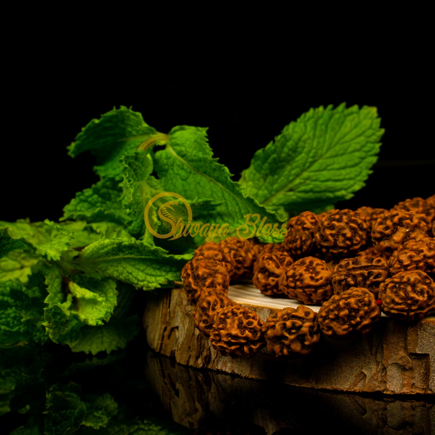Close-up view of a small ASEAN 3 mukhi Rudraksha mala necklace on a wooden slice, displayed against a black background