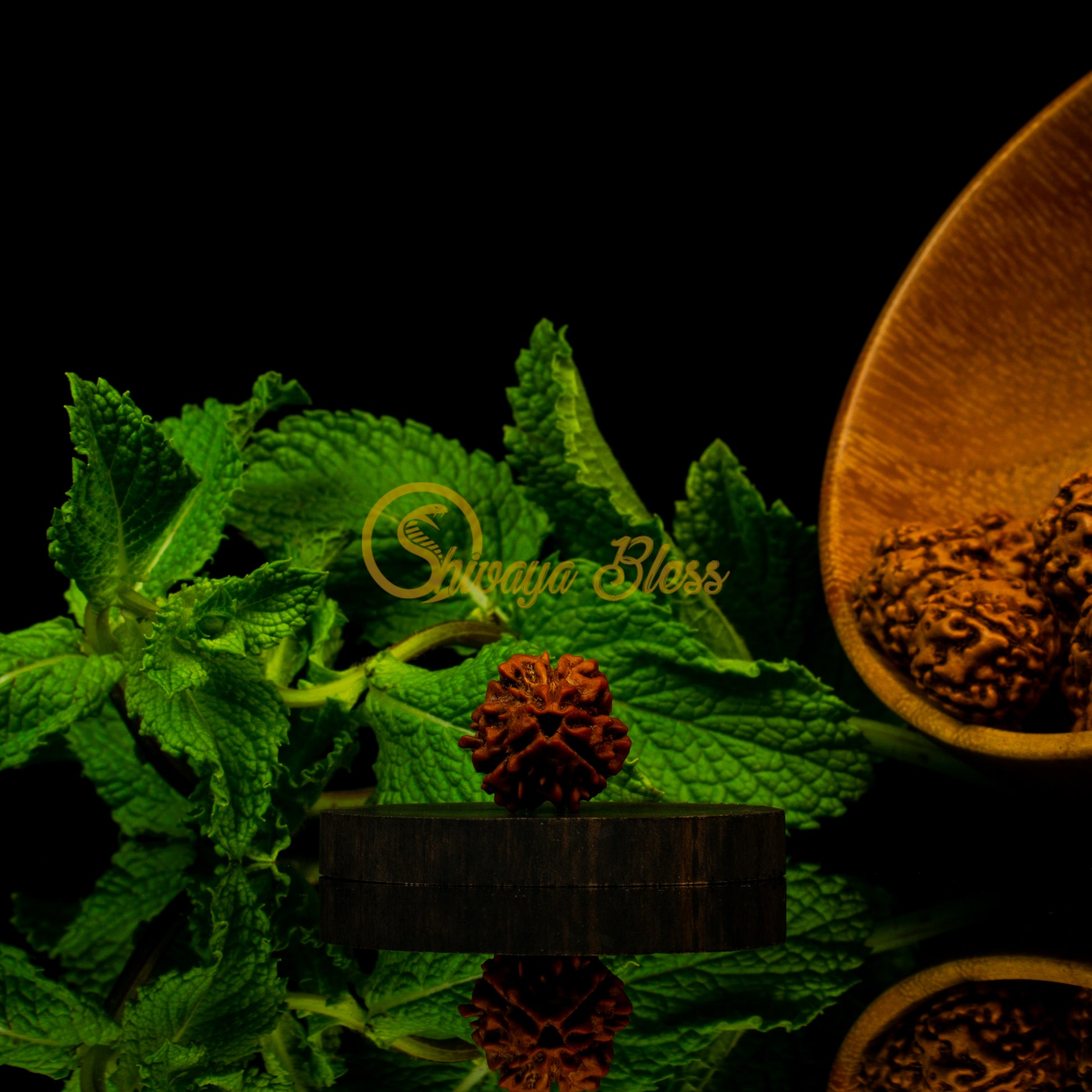 Front view of a regular Nepal 3 mukhi Rudraksha bead, displayed against a black background