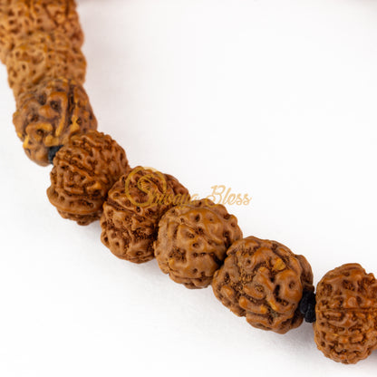 Women's "Genius" Rudraksha Bracelet