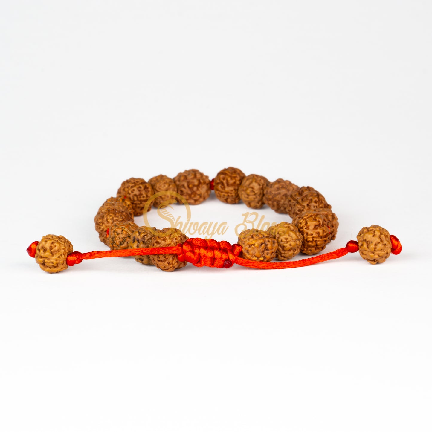 Front view of a small adjustable ASEAN 4-5-6 mukhi Rudraksha combination bracelet for students, displayed against a white background