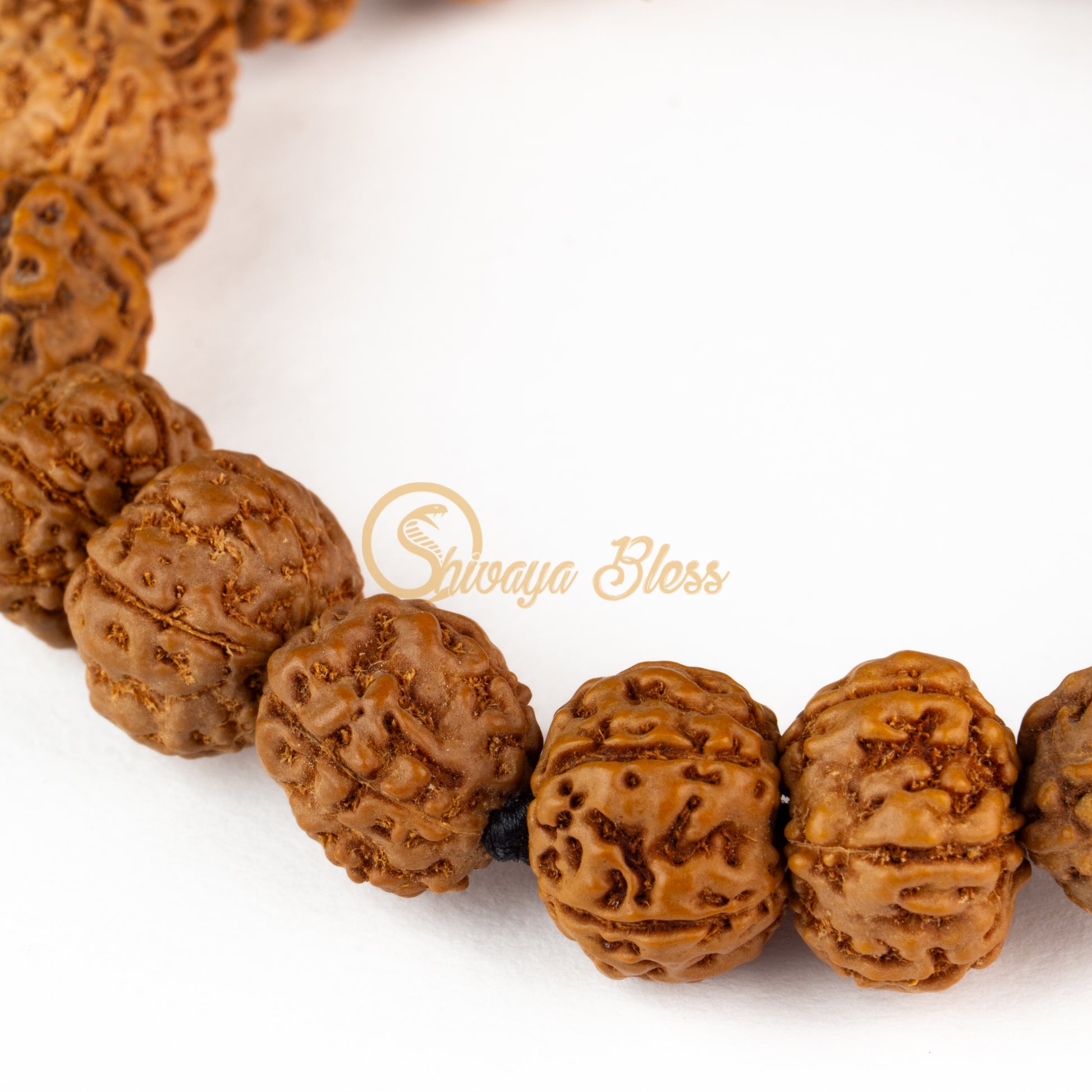 Close-up view of a small ASEAN 4-5-6 mukhi Rudraksha combination bracelet for boys, displayed against a white background