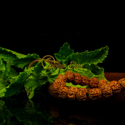 Close-up view of a small ASEAN 4-5-6 mukhi Rudraksha combination bracelet for students on a wooden plate, displayed against a black background