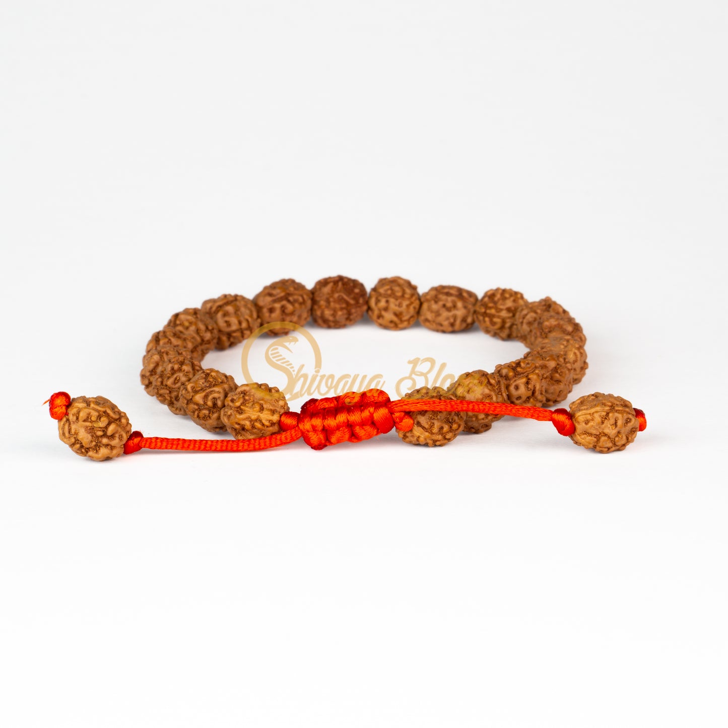 Front view of a regular adjustable ASEAN 4 mukhi Rudraksha bracelet, displayed against a white background