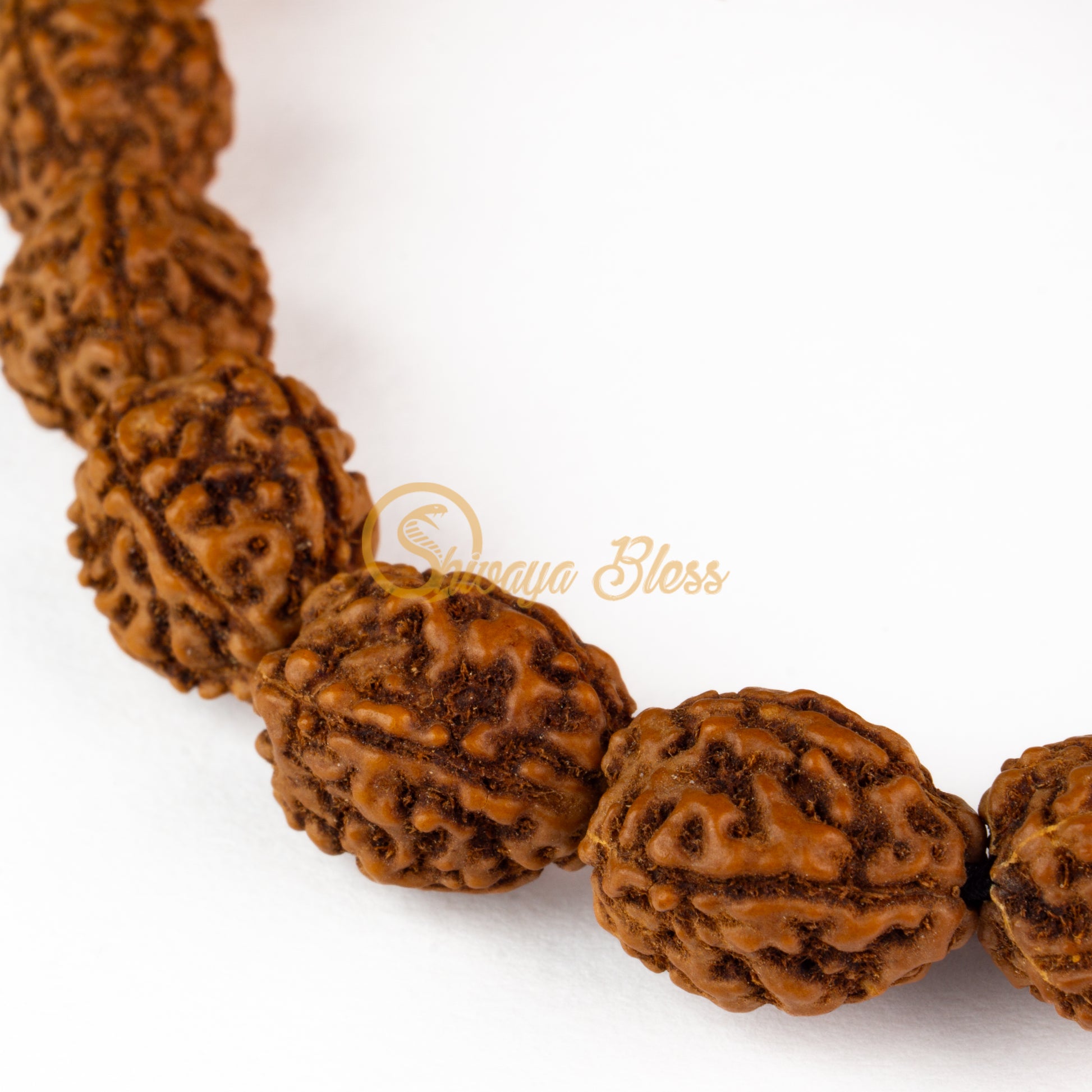 Close-up view of a regular ASEAN 4 mukhi Rudraksha bracelet, displayed against a white background