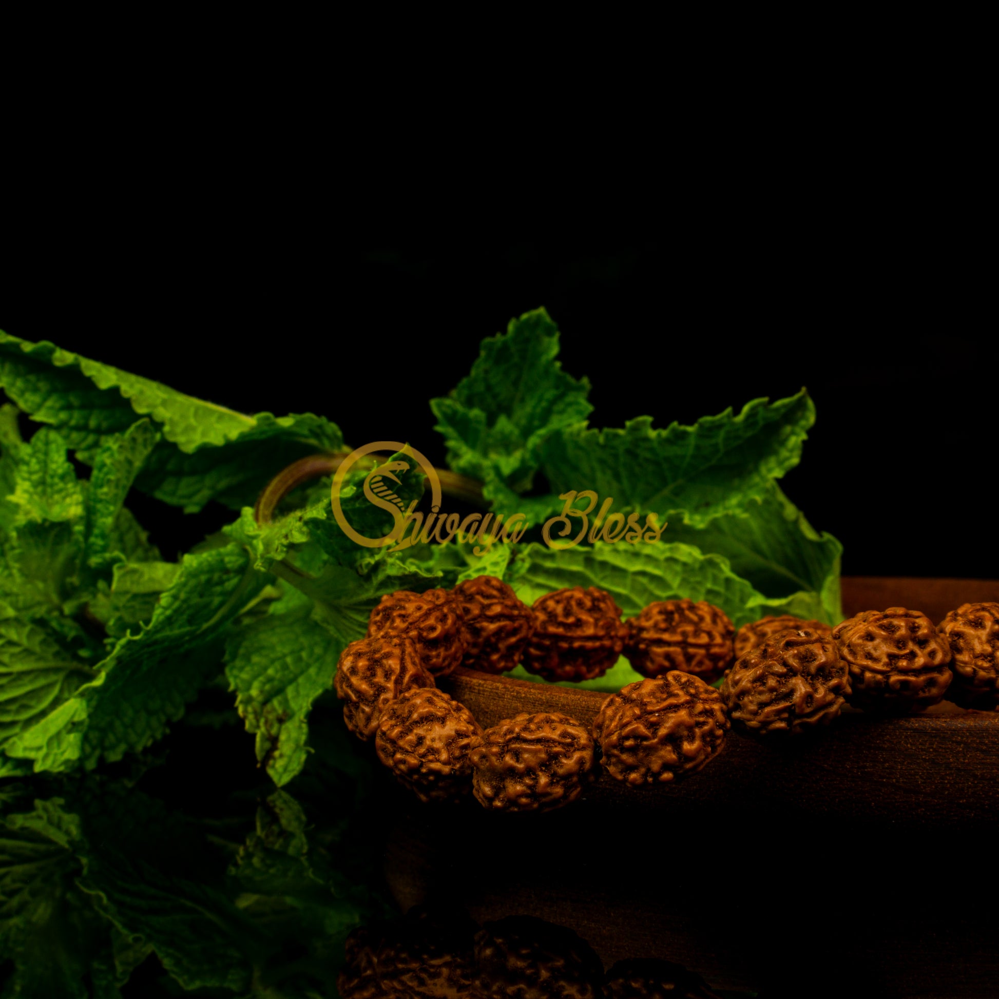 Close-up view of a regular ASEAN 4 mukhi Rudraksha bracelet on a wooden plate, displayed against a black background