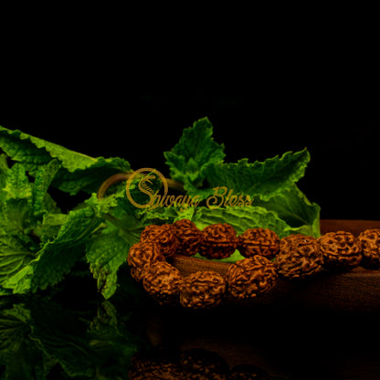 Close-up view of a regular ASEAN 4 mukhi Rudraksha bracelet on a wooden plate, displayed against a black background