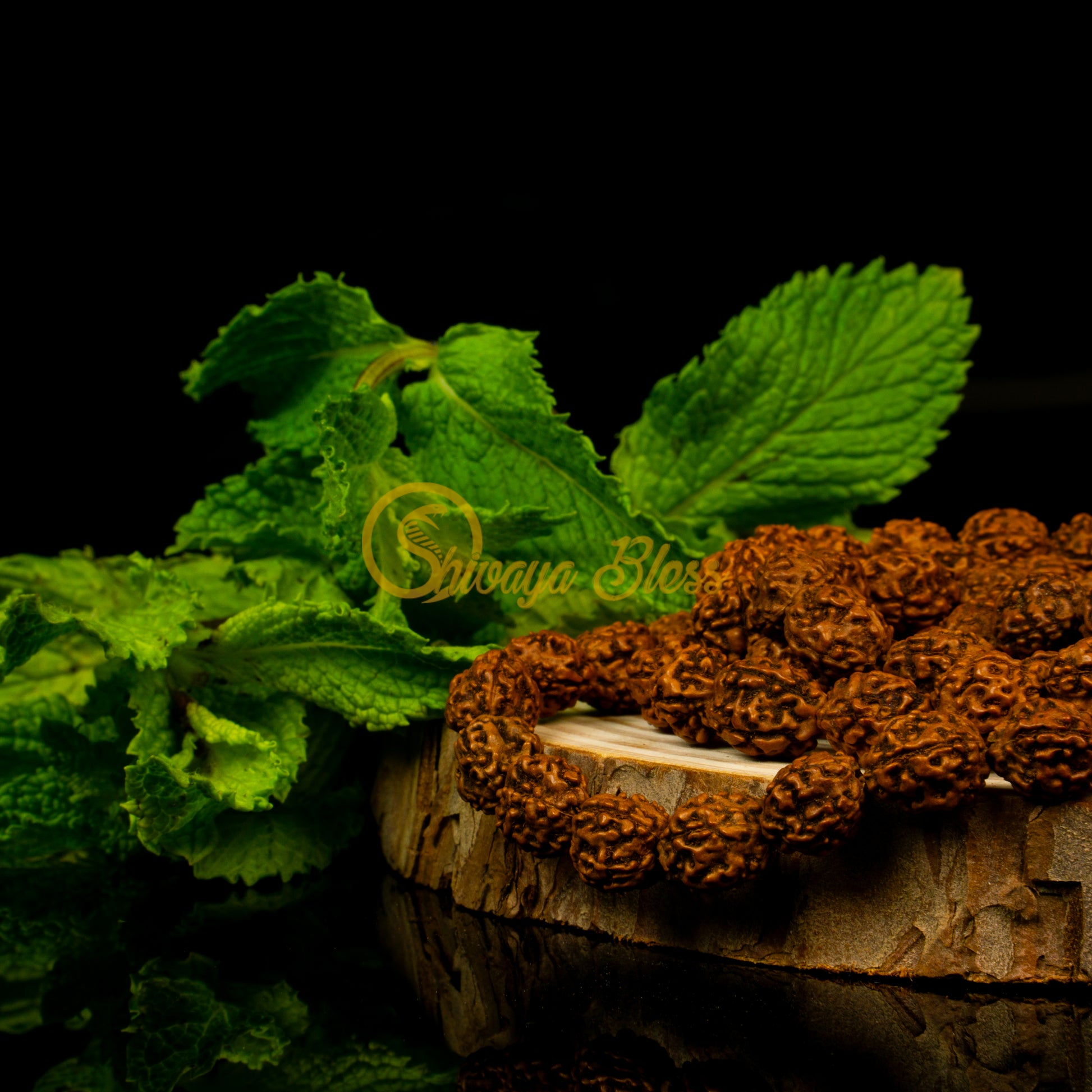 Close-up view of a small ASEAN 4 mukhi Rudraksha mala necklace on a wooden slice, displayed against a black background
