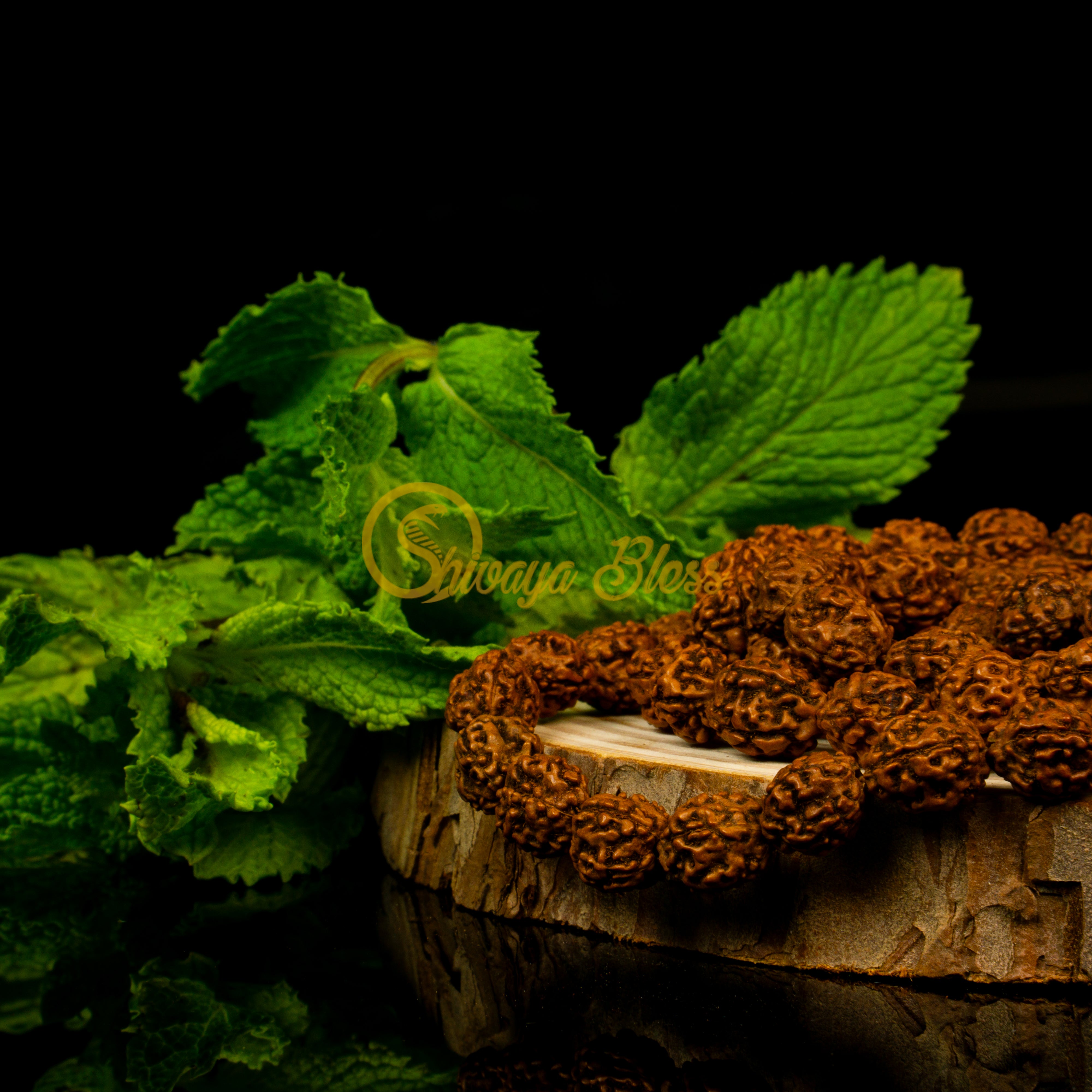 Close-up view of a small ASEAN 4 mukhi Rudraksha mala necklace on a wooden slice, displayed against a black background