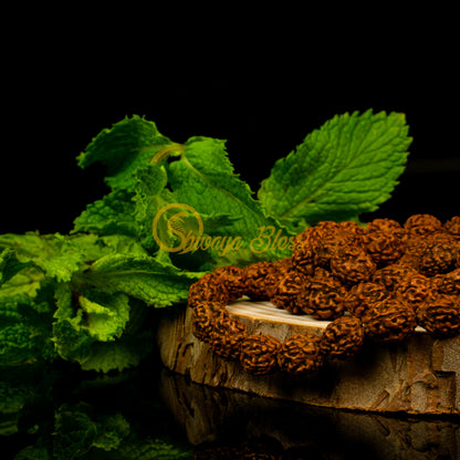 Close-up view of a small ASEAN 4 mukhi Rudraksha mala necklace on a wooden slice, displayed against a black background