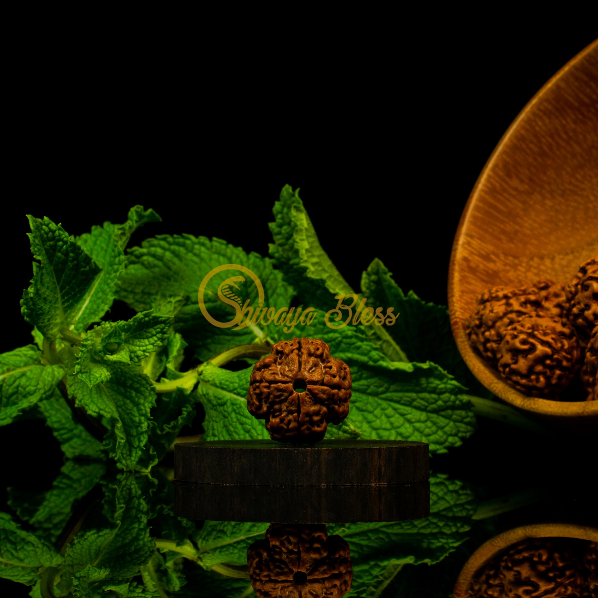 Front view of a regular Nepal 4 mukhi Rudraksha bead, displayed against a black background