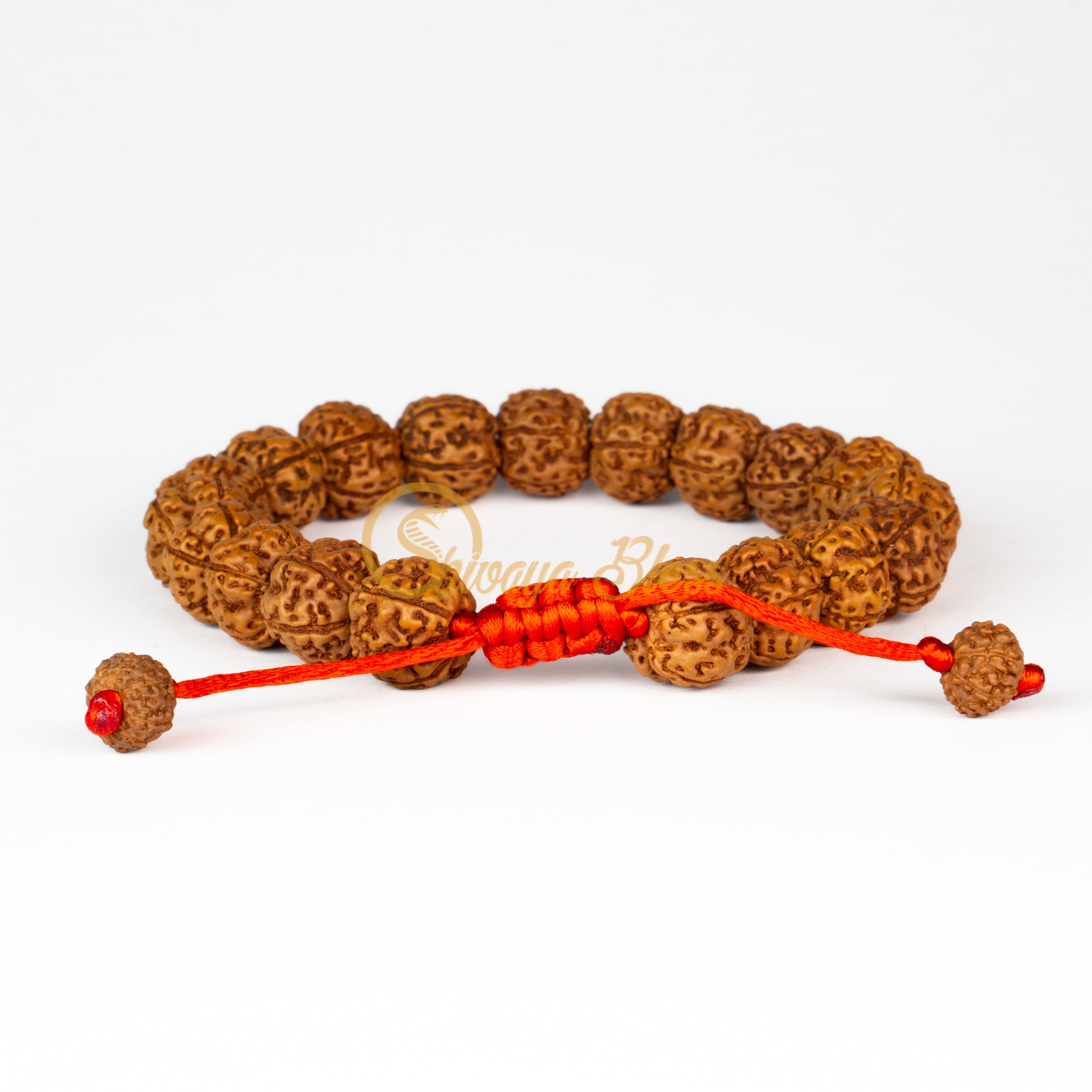 Front view of a small adjustable ASEAN 5 mukhi Rudraksha bracelet, displayed against a white background