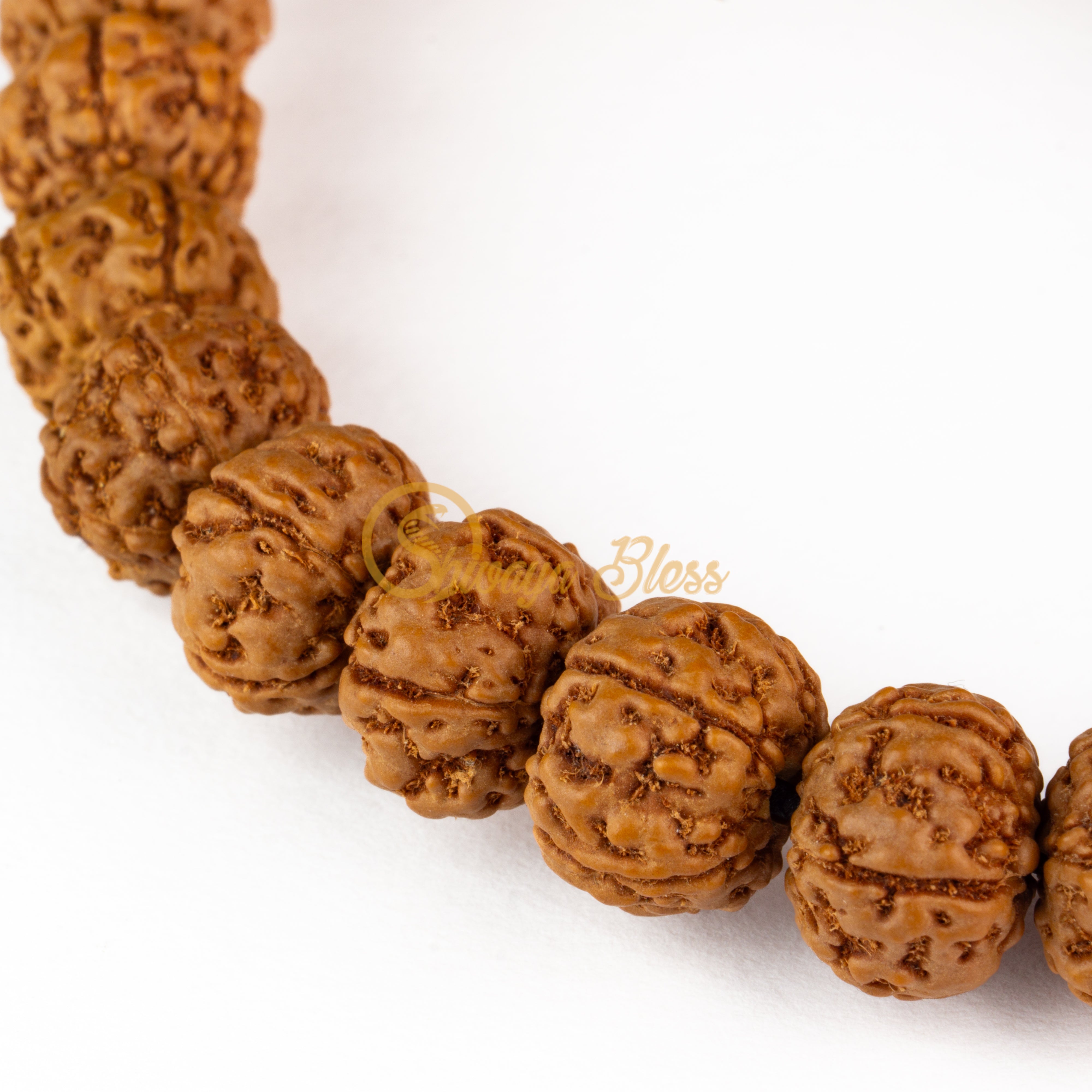 Close-up view of a small ASEAN 5 mukhi Rudraksha bracelet, displayed against a white background