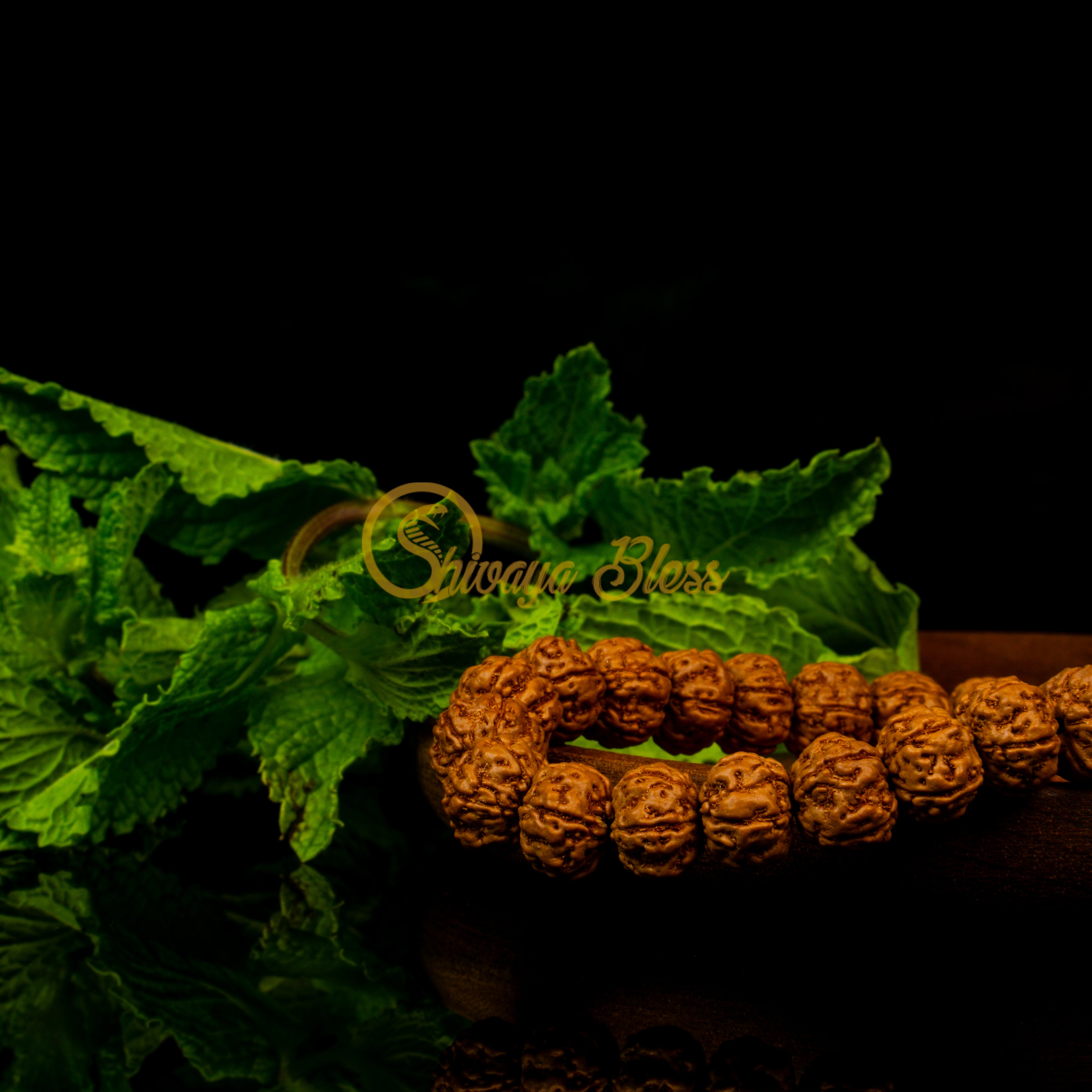 Close-up view of a small ASEAN 5 mukhi Rudraksha bracelet on a wooden plate, displayed against a black background