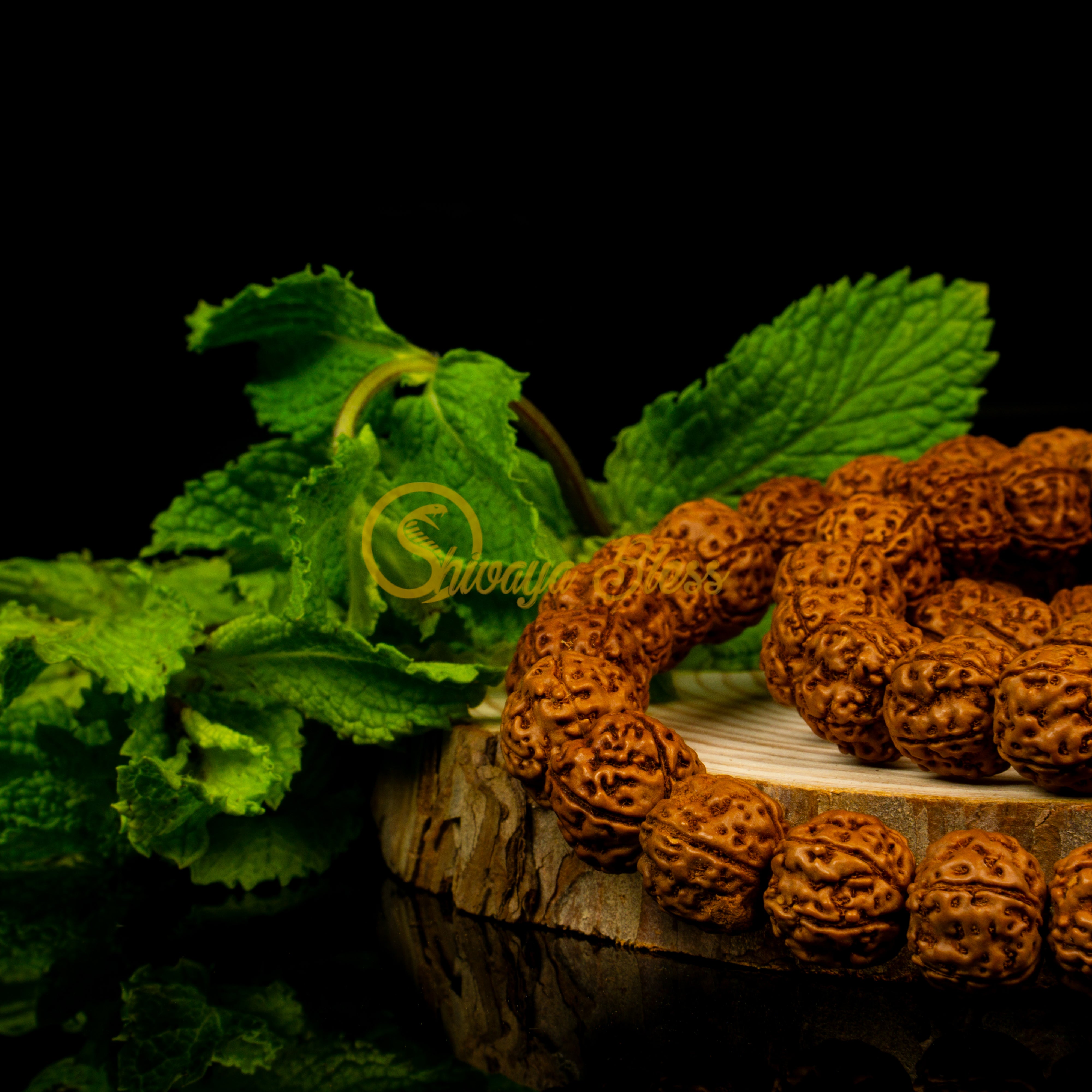 Close-up view of a small ASEAN 5 mukhi Rudraksha mala necklace on a wooden slice, displayed against a black background