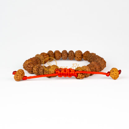 Front view of a mini adjustable ASEAN 6 to 10 mukhi Rudraksha combination bracelet for job / business, displayed against a white background