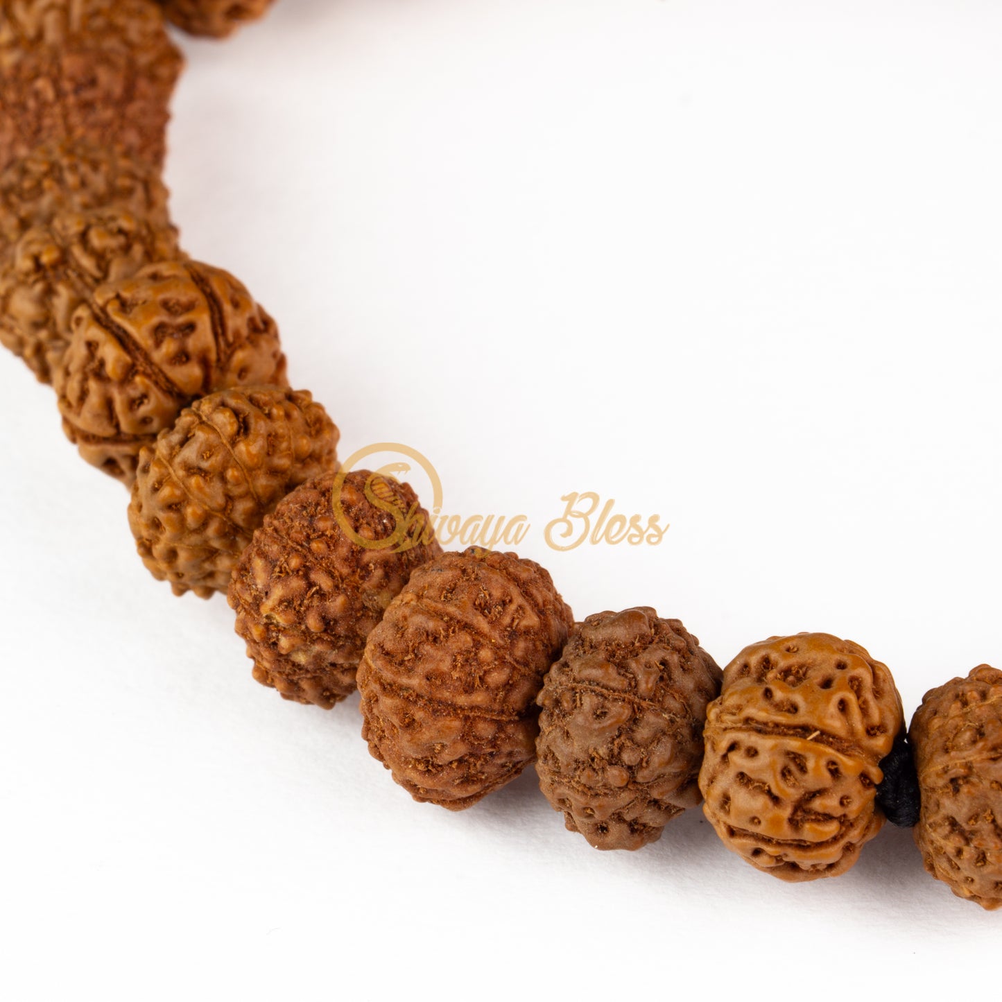 Close-up view of a mini ASEAN 6 to 10 mukhi Rudraksha combination bracelet for job / business, displayed against a white background