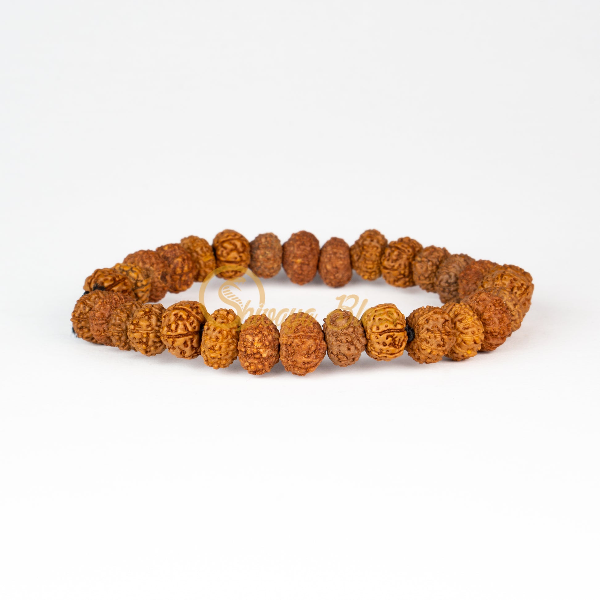 Front view of a mini elastic ASEAN 6 to 10 mukhi Rudraksha combination bracelet for job / business, displayed against a white background