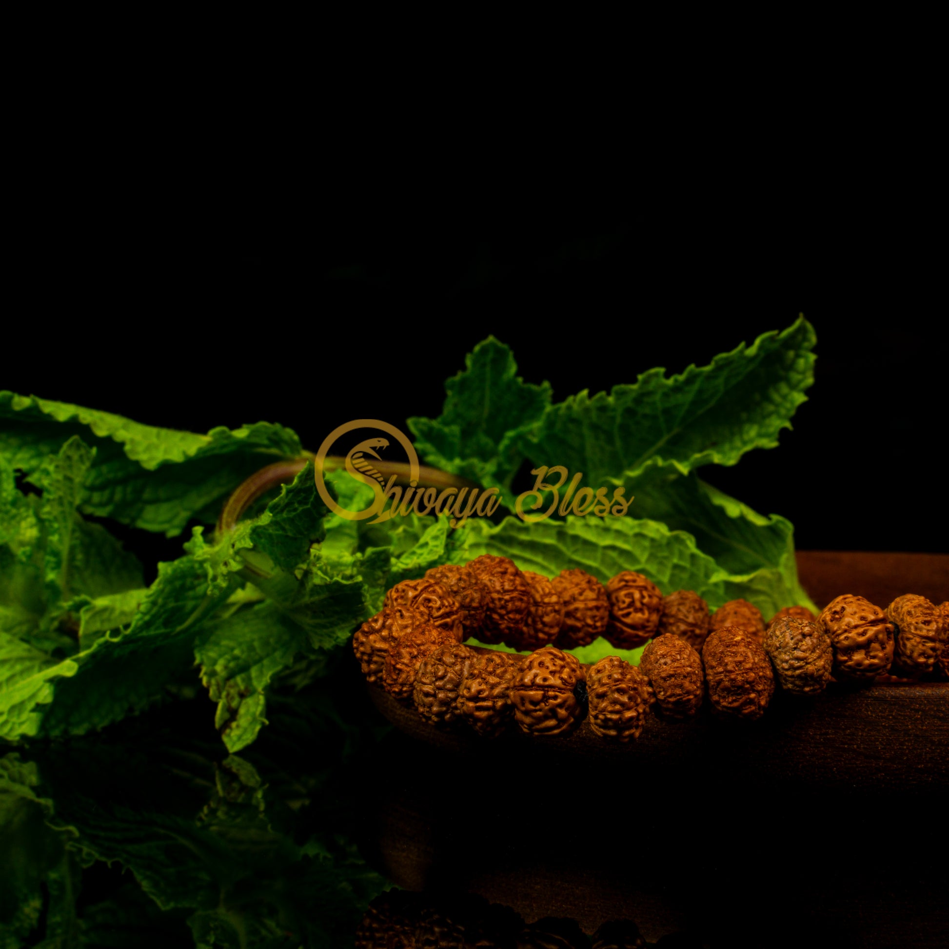 Close-up view of a mini ASEAN 6 to 10 mukhi Rudraksha combination bracelet for job / business on a wooden plate, displayed against a black background