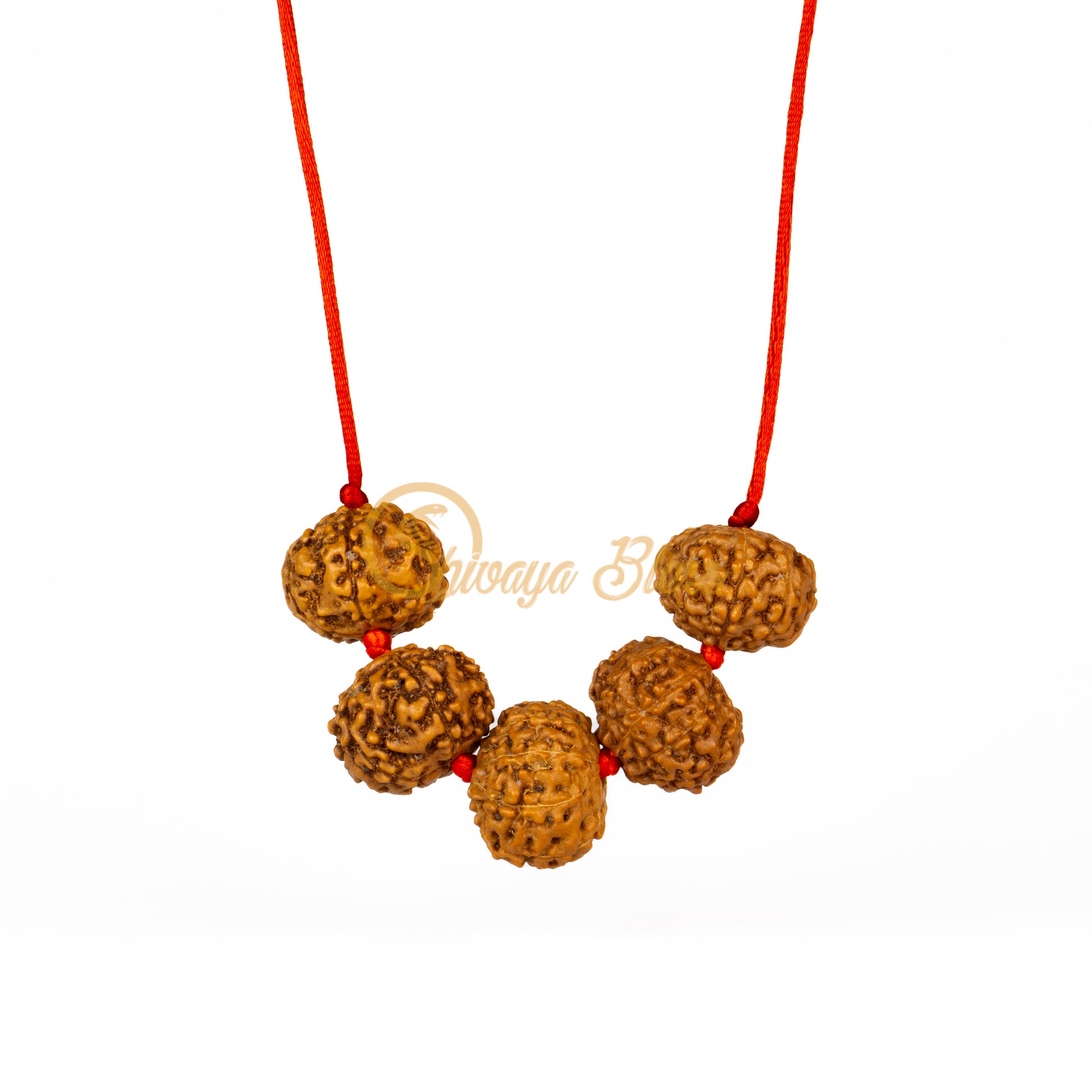 Front view of a regular ASEAN 6 to 10 mukhi Rudraksha combination pendant necklace for job / business, hanging against a white background