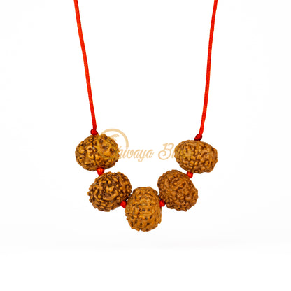 Front view of a regular ASEAN 6 to 10 mukhi Rudraksha combination pendant necklace for job / business, hanging against a white background