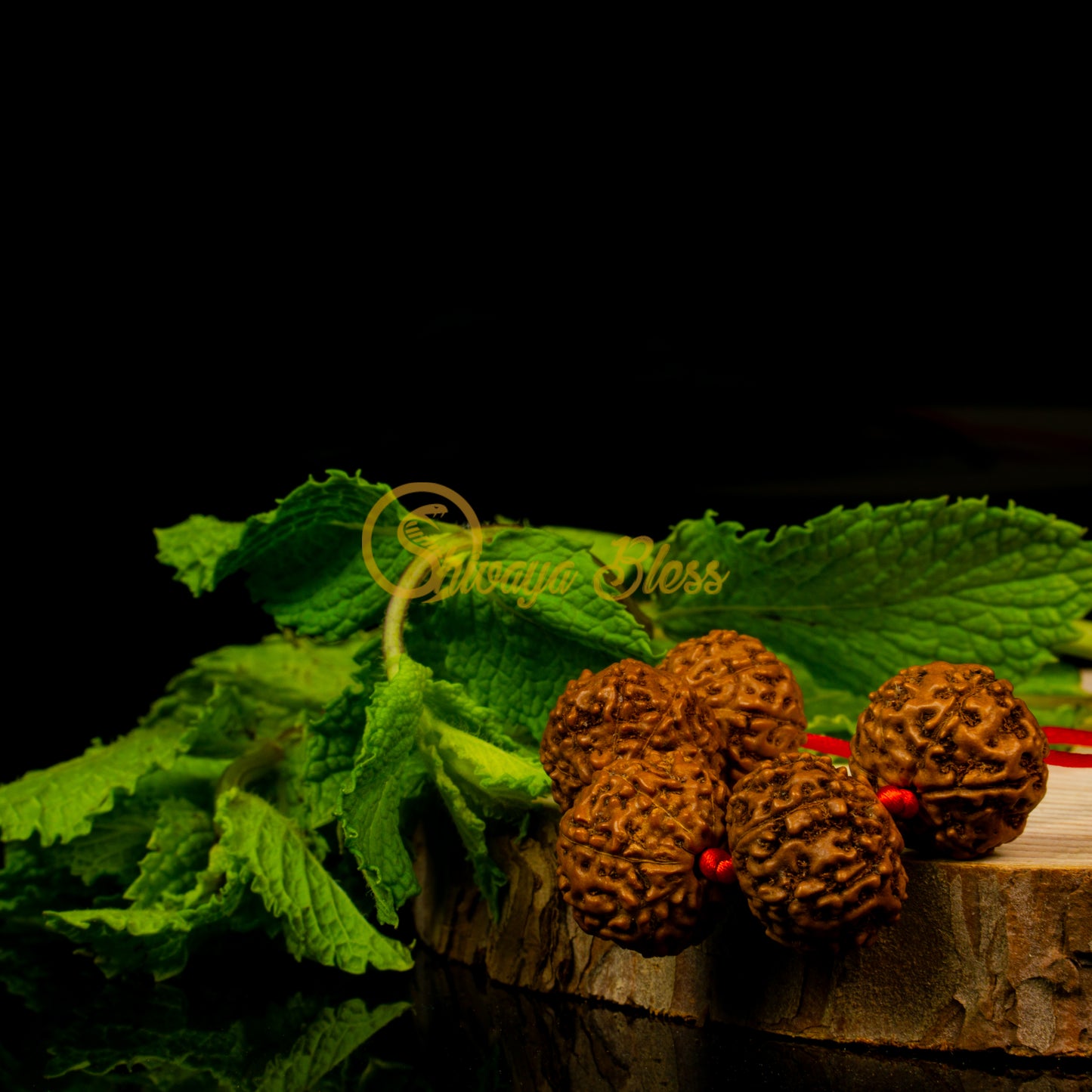 Close-up view of a regular ASEAN 6 to 10 mukhi Rudraksha combination pendant necklace for job / business on a wooden slice, displayed against a black background