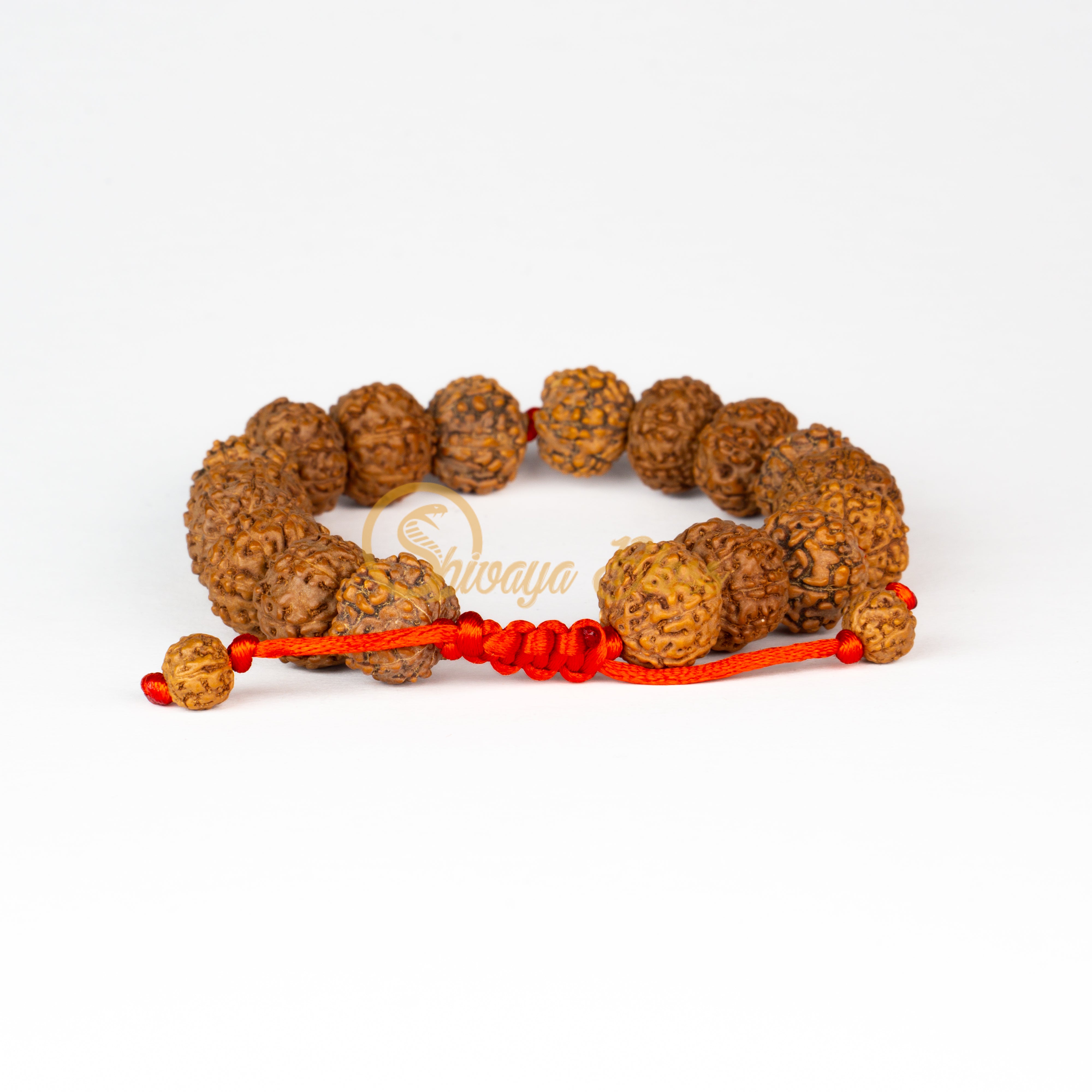 Front view of a small adjustable ASEAN 6-7-8 mukhi Rudraksha combination bracelet for wealth, displayed against a white background