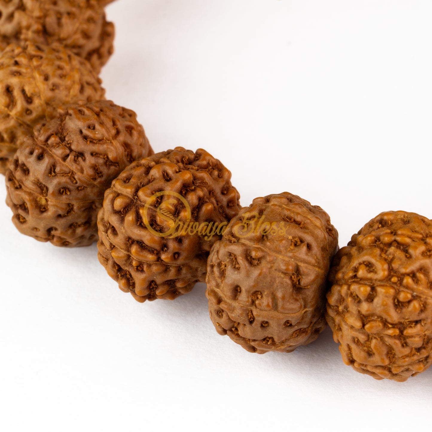 Close-up view of a small ASEAN 6-7-8 mukhi Rudraksha combination bracelet for wealth, displayed against a white background