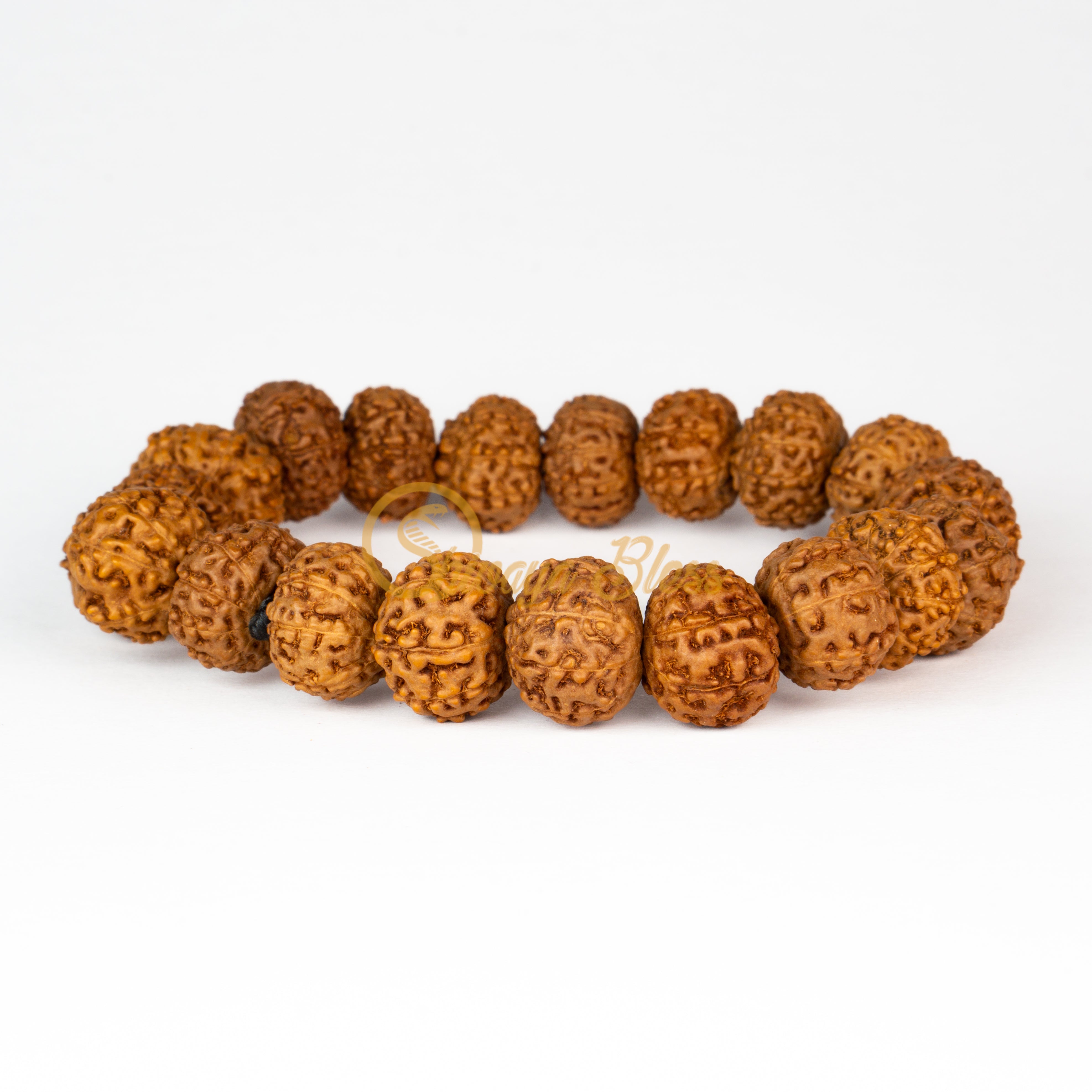 Front view of a small elastic ASEAN 6-7-8 mukhi Rudraksha combination bracelet for wealth, displayed against a white background