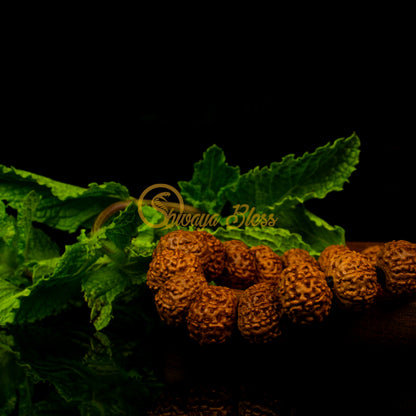 Close-up view of a small ASEAN 6-7-8 mukhi Rudraksha combination bracelet for wealth on a wooden plate, displayed against a black background