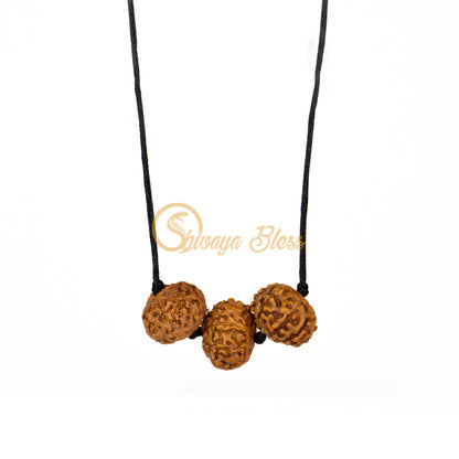 Front view of a regular ASEAN 6-7-8 mukhi Rudraksha combination pendant necklace for wealth, hanging against a white background