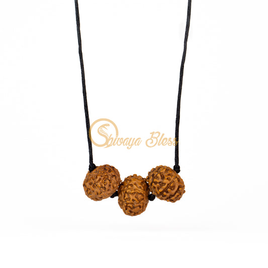 Front view of a regular ASEAN 6-7-8 mukhi Rudraksha combination pendant necklace for wealth, hanging against a white background