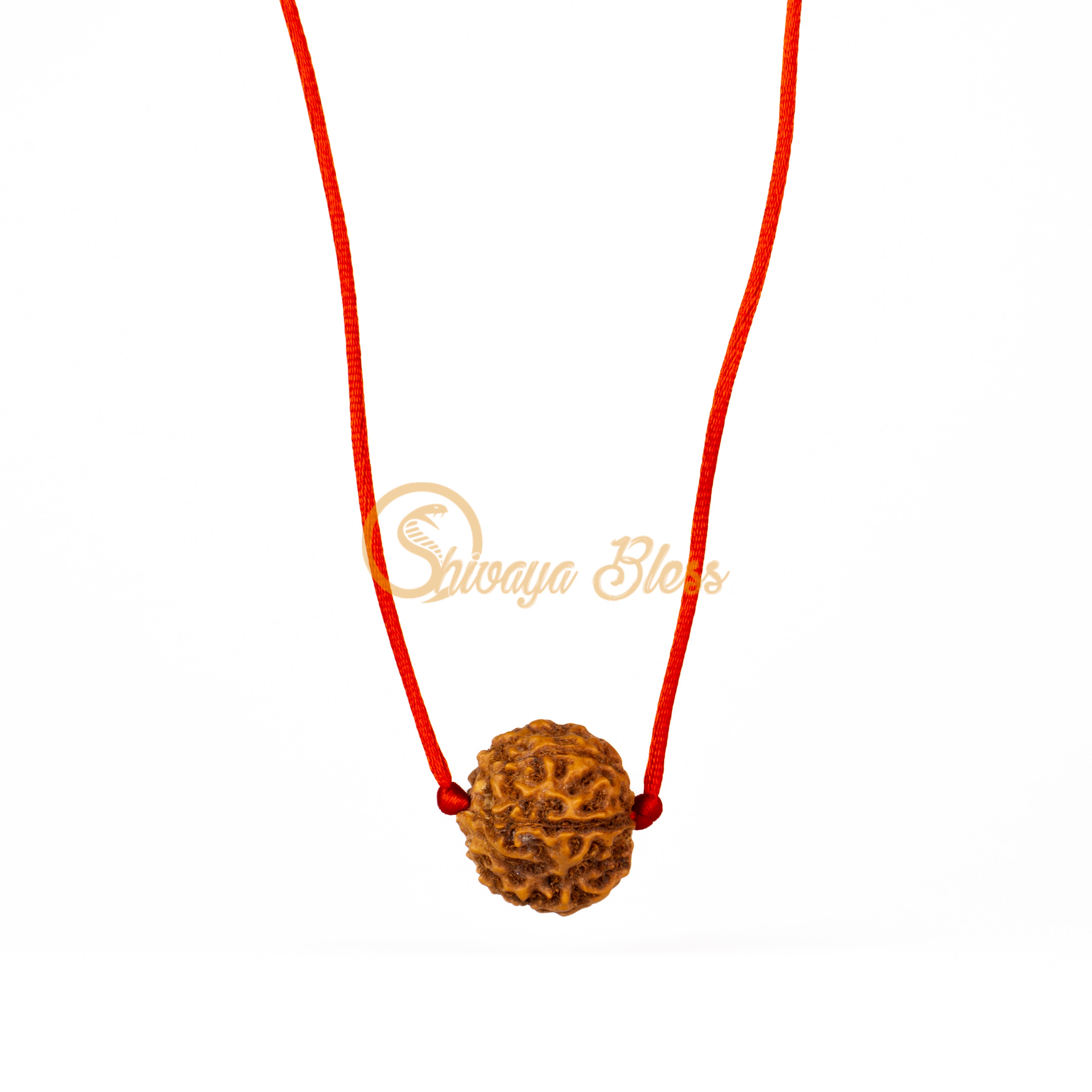 6 Face Rudraksha Pendant Necklace (Nepal)