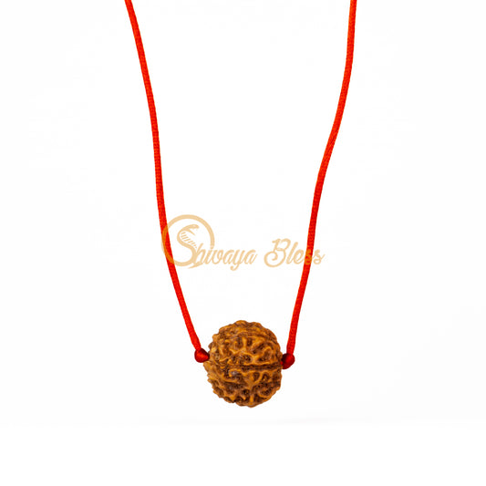 6 Mukhi Rudraksha Pendant