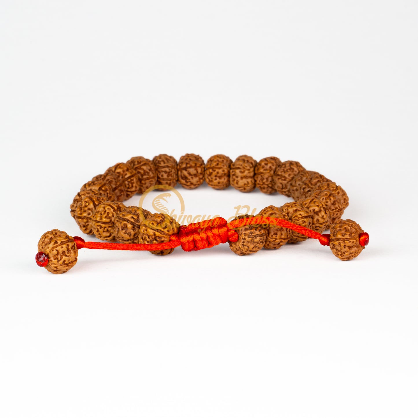 Front view of a small adjustable ASEAN 6 mukhi Rudraksha bracelet, displayed against a white background