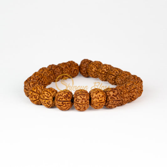 Front view of a small elastic ASEAN 6 mukhi Rudraksha bracelet, displayed against a white background