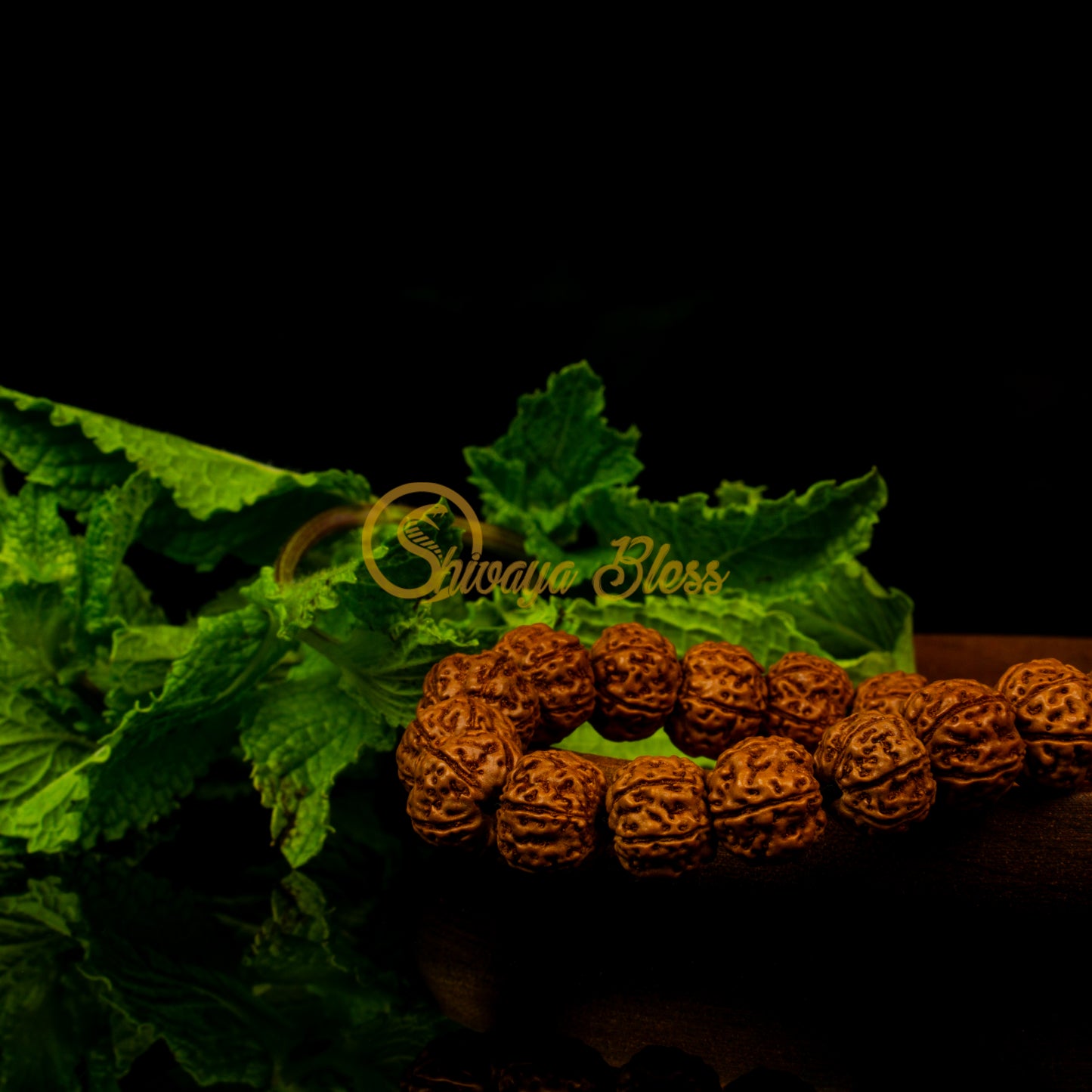 Close-up view of a small ASEAN 6 mukhi Rudraksha bracelet on a wooden plate, displayed against a black background