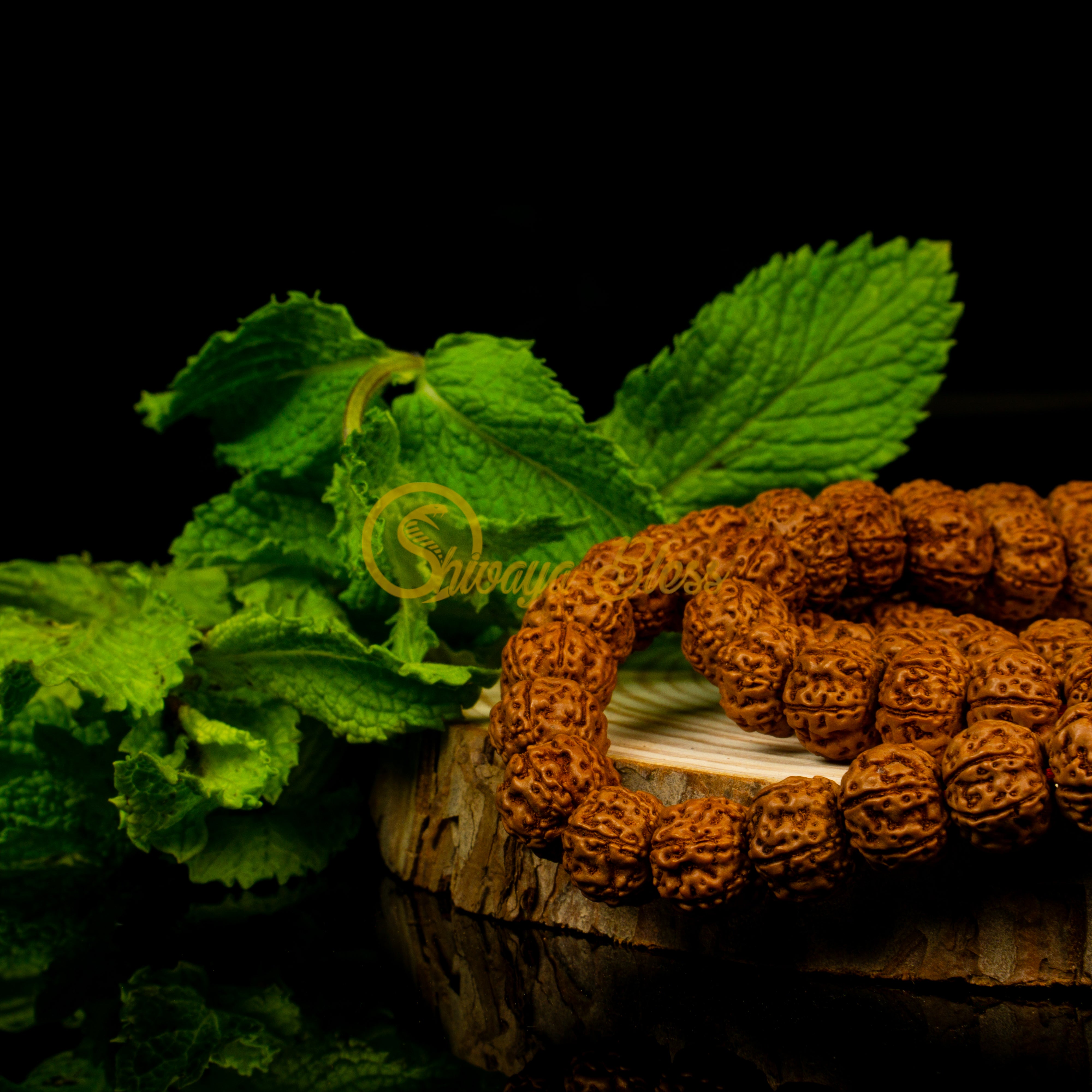 Close-up view of a small ASEAN 6 mukhi Rudraksha mala necklace on a wooden slice, displayed against a black background