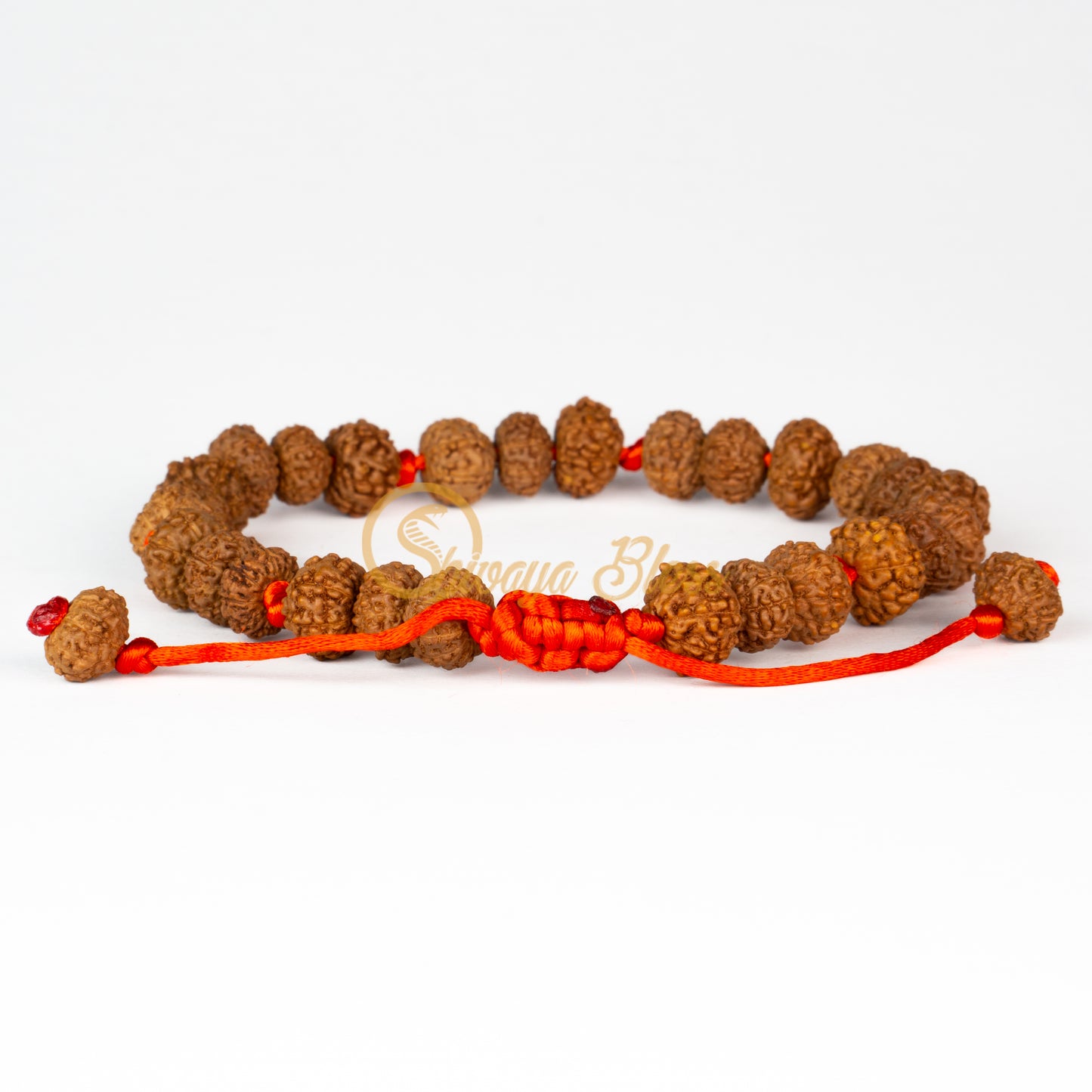 Front view of a mini adjustable ASEAN 7-8-9 mukhi Rudraksha combination bracelet for prosperity, displayed against a white background