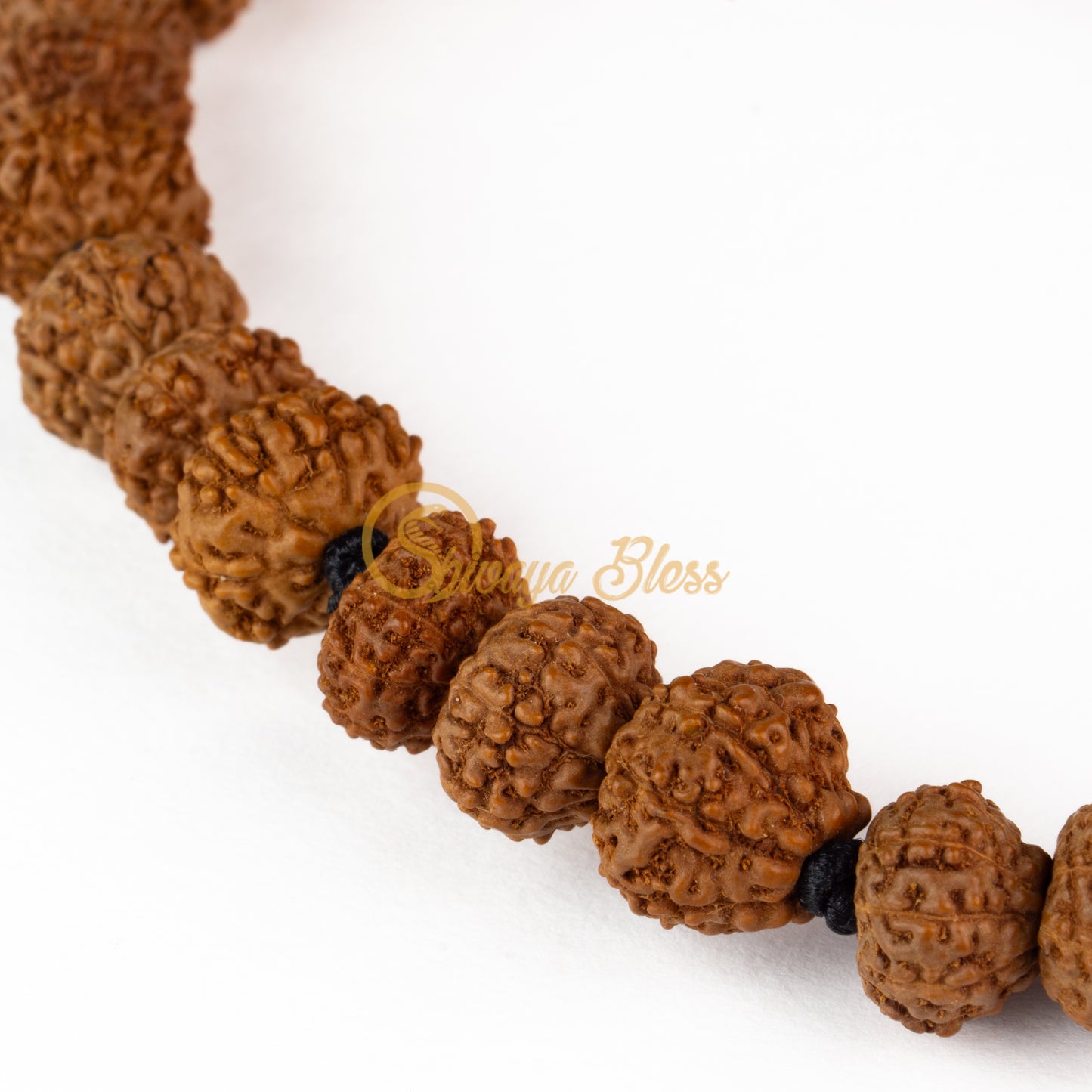 Close-up view of a mini ASEAN 7-8-9 mukhi Rudraksha combination bracelet for prosperity, displayed against a white background