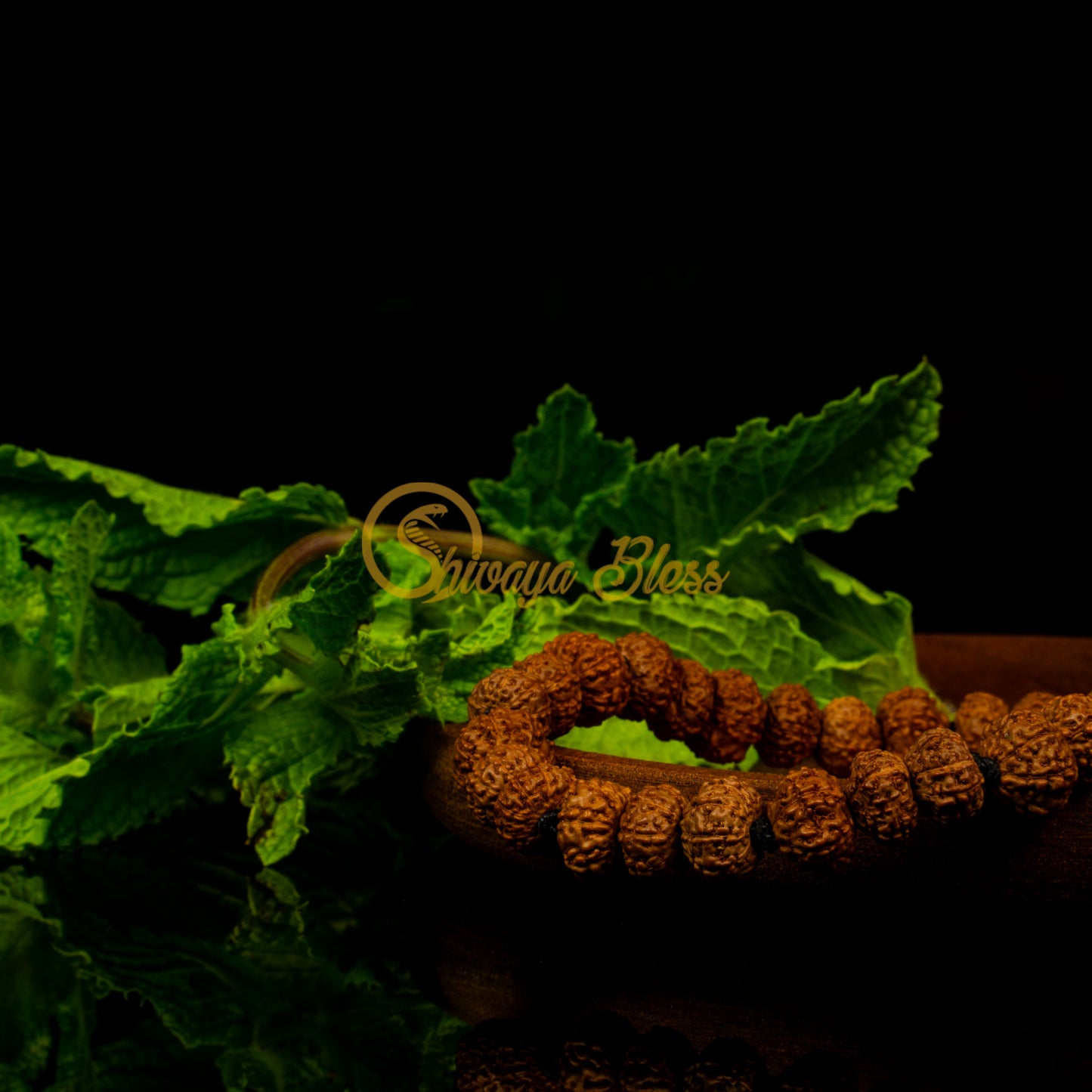 Close-up view of a mini ASEAN 7-8-9 mukhi Rudraksha combination bracelet for prosperity on a wooden plate, displayed against a black background