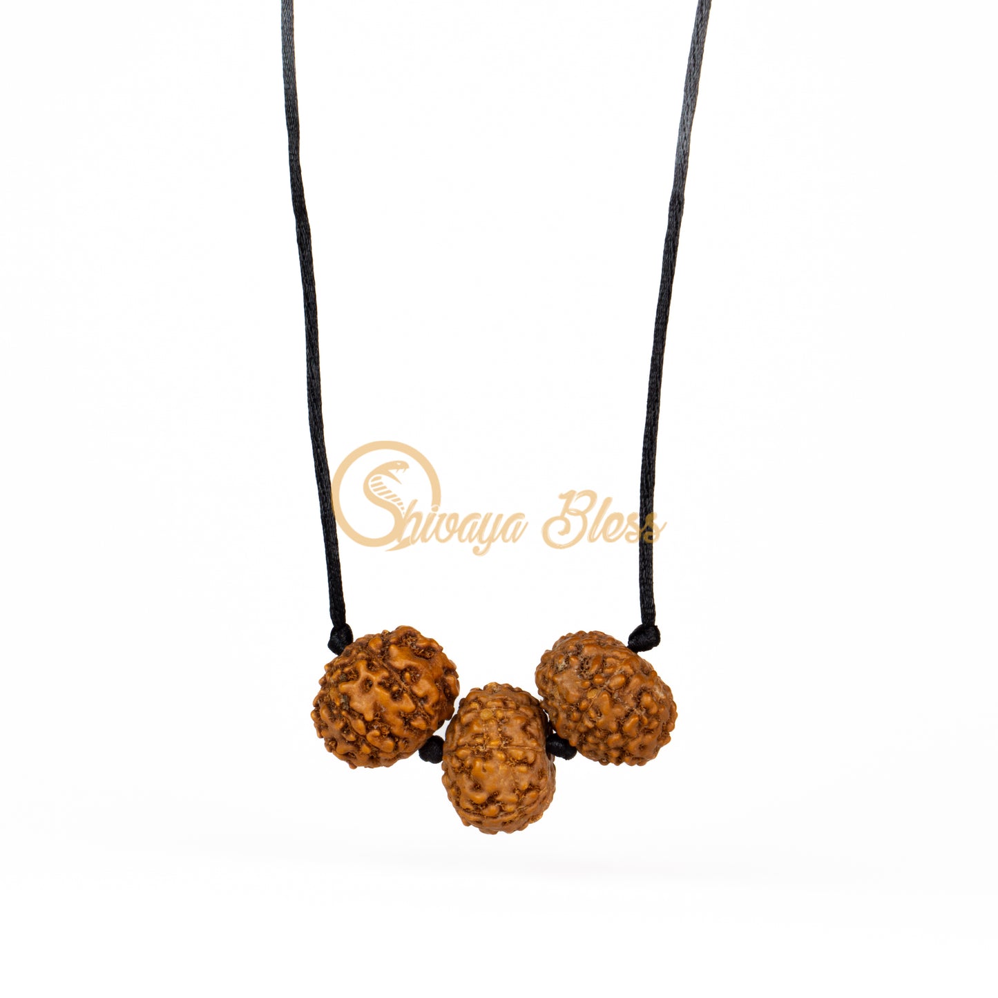 Front view of a regular ASEAN 7-8-9 mukhi Rudraksha combination pendant necklace for prosperity, hanging against a white background