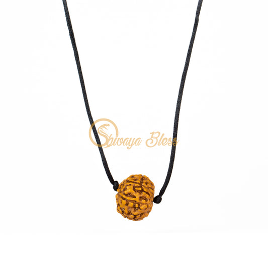 7 Mukhi Rudraksha Pendant